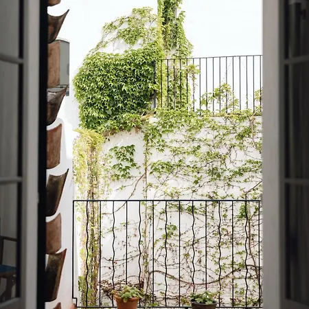 Guest house Menorca